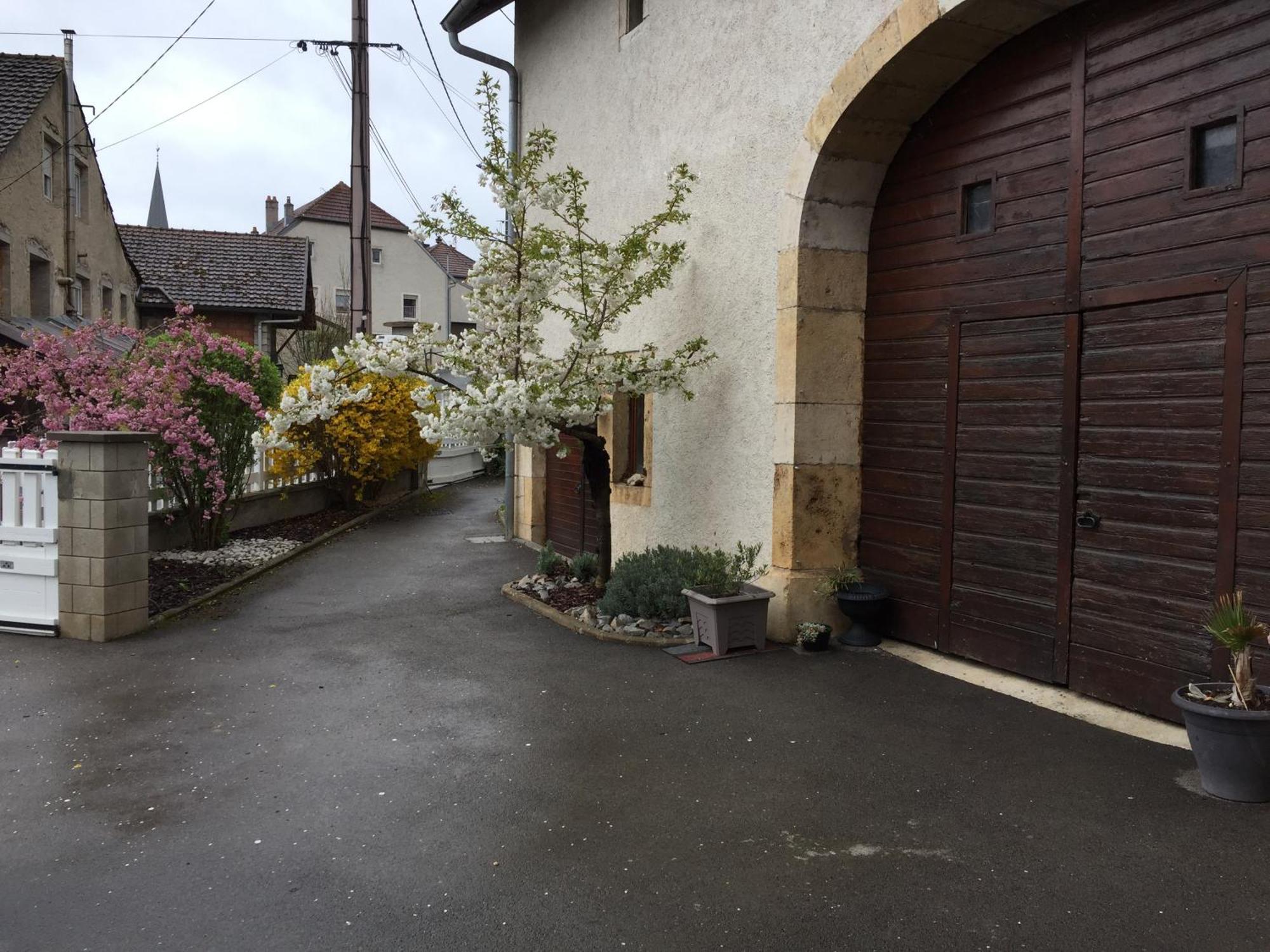 Appartement Ravissant En Bordure Du Doubs Longevelle-sur-Doubs 外观 照片