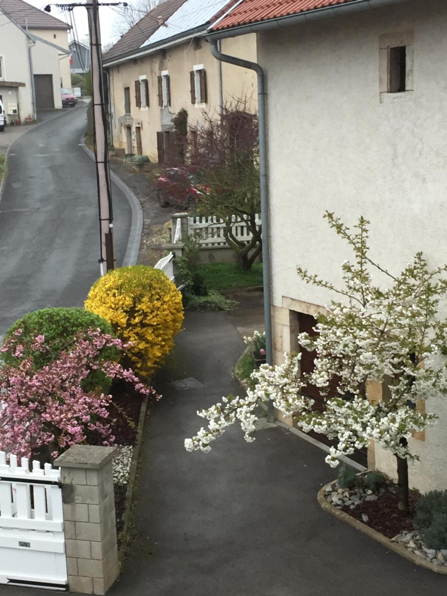 Appartement Ravissant En Bordure Du Doubs Longevelle-sur-Doubs 外观 照片